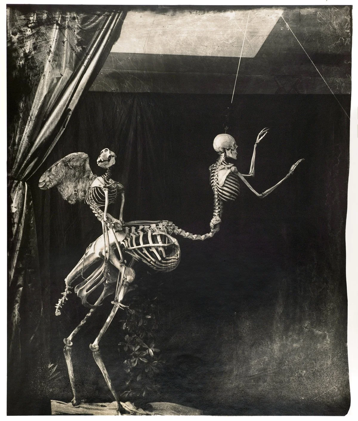 JOEL-PETER WITKIN — meet world photographers